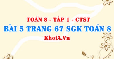 Bài 5 trang 67 SGK Toán 8 Tập 1 Chân trời sáng tạo